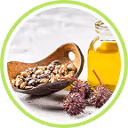 Castor beans and castor oil